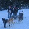 dog_mushing_2_001