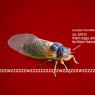 cicada_cad